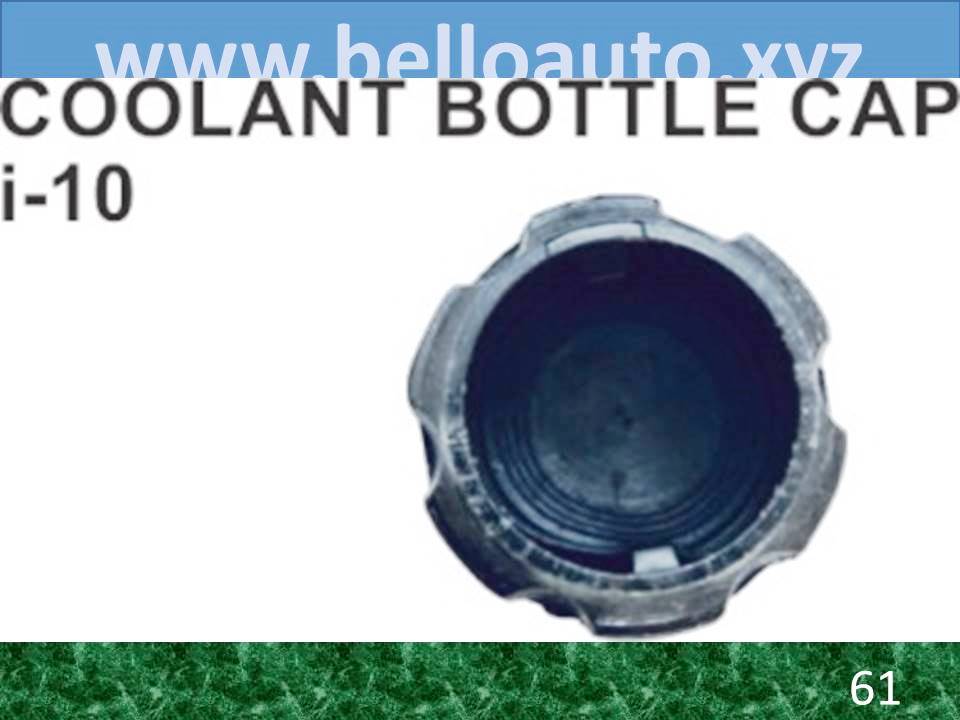 Coolant Bottle Cap i10